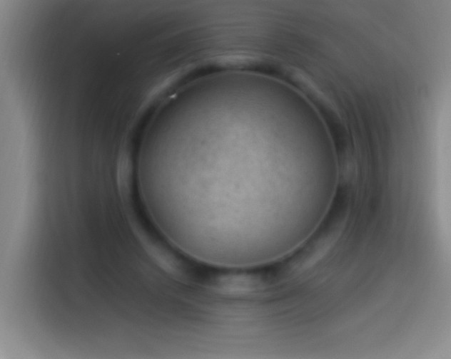 X0000113900448200910011346