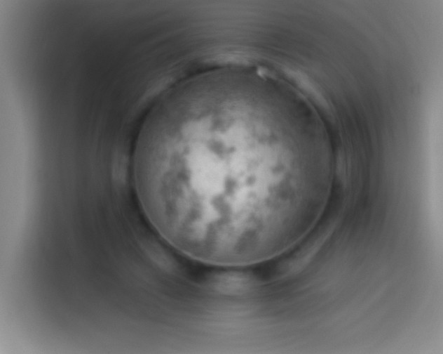 X0000113900449200910011346