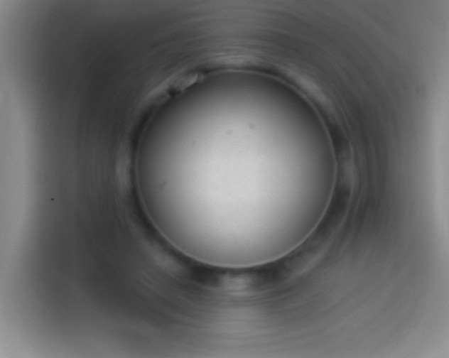 X0000113900450200910011346