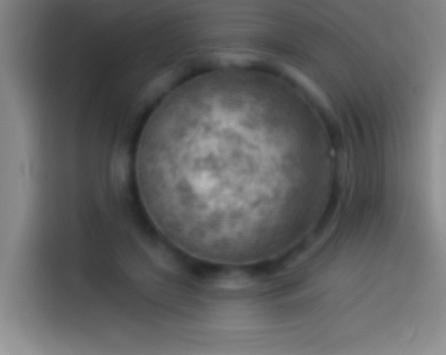 X0000113900451200910011346