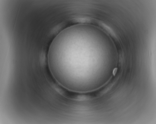 X0000113900453200910011346