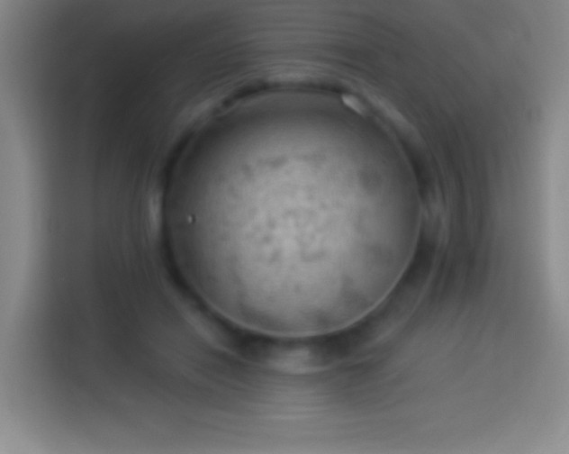 X0000113900454200910011346