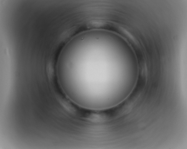 X0000113900455200910011346