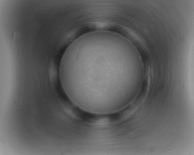 X0000113900456200910011346