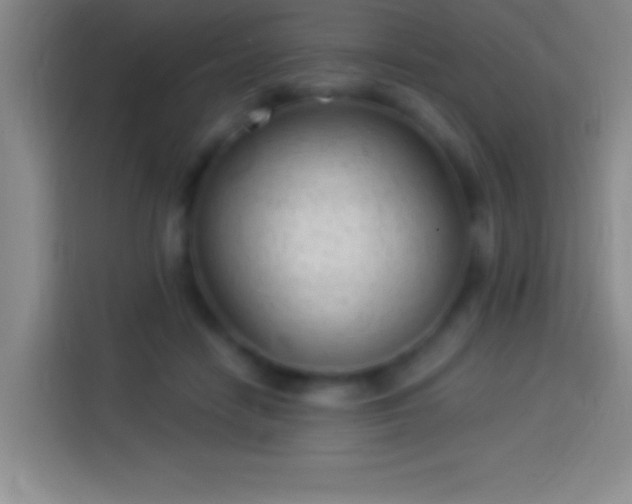 X0000113900458200910011346