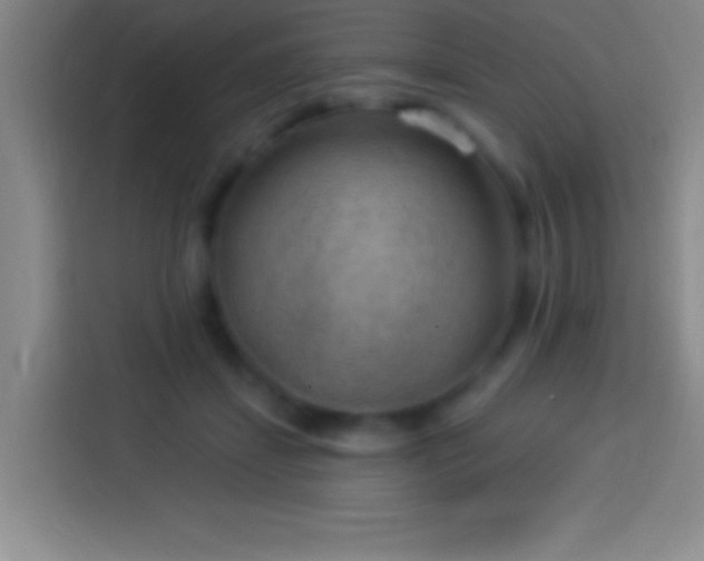 X0000113900459200910011346