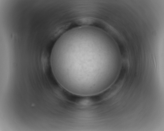 X0000113900460200910011346