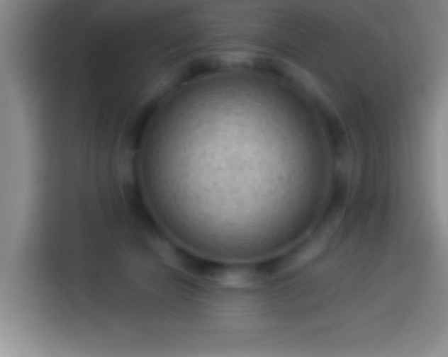 X0000113900462200910011346