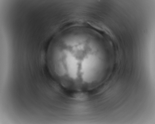 X0000113900465200910011346