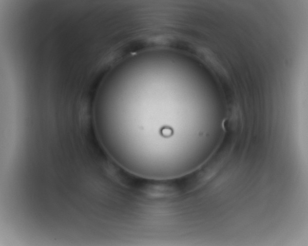 X0000113900466200910011346