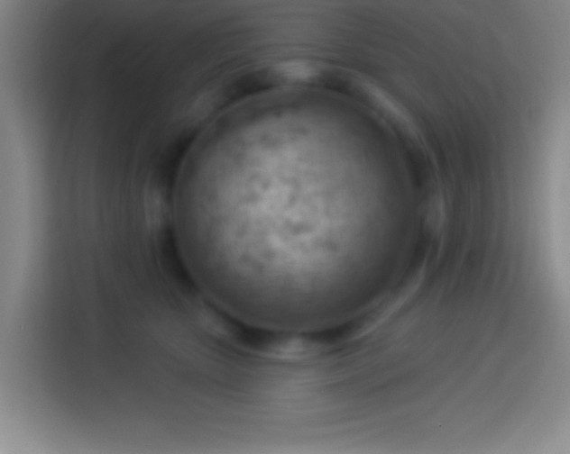 X0000113900467200910011346