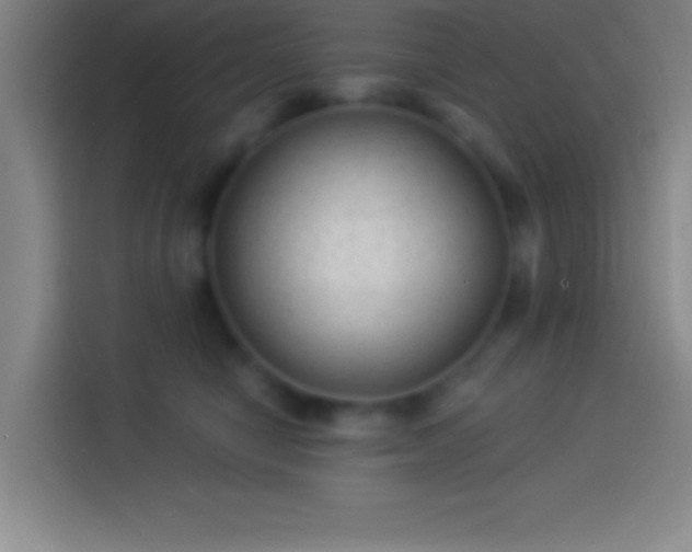 X0000113900470200910011346