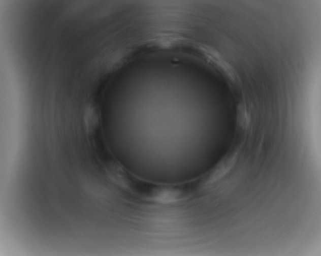 X0000113900471200910011346