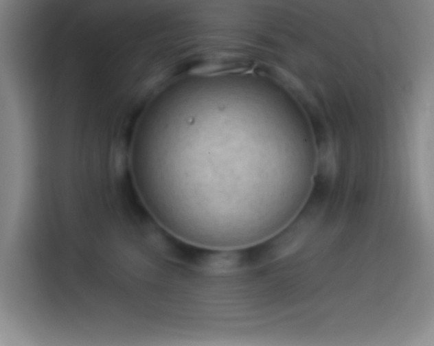 X0000113900474200910011346