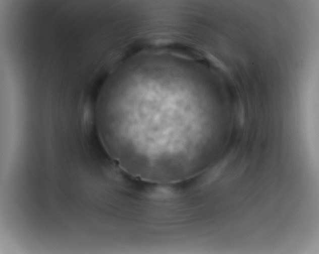 X0000113900475200910011346