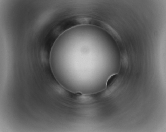 X0000113900477200910011346