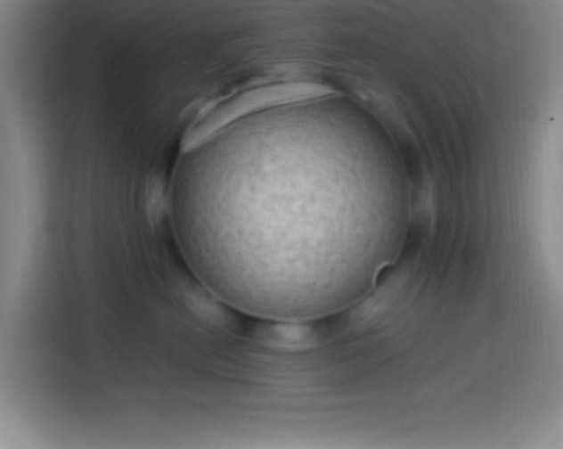 X0000113900478200910011346