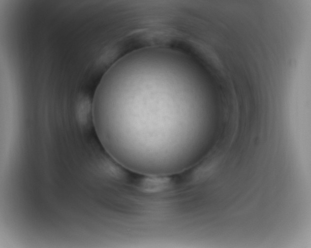 X0000113900480200910011346