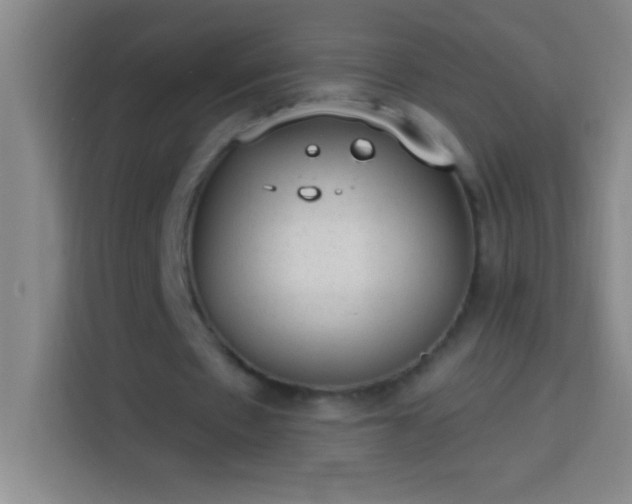 X0000113900481200910011346