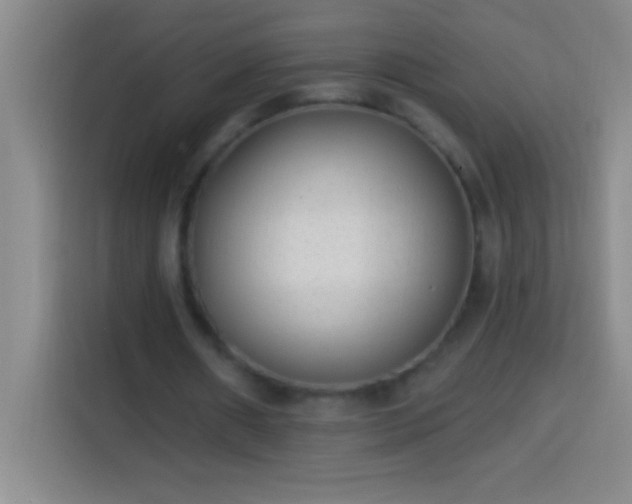 X0000113900482200910011346