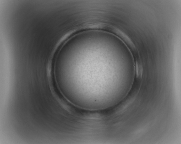 X0000113900483200910011346