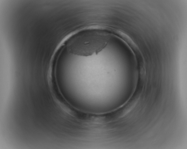 X0000113900484200910011346