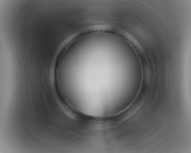 X0000113900486200910011346