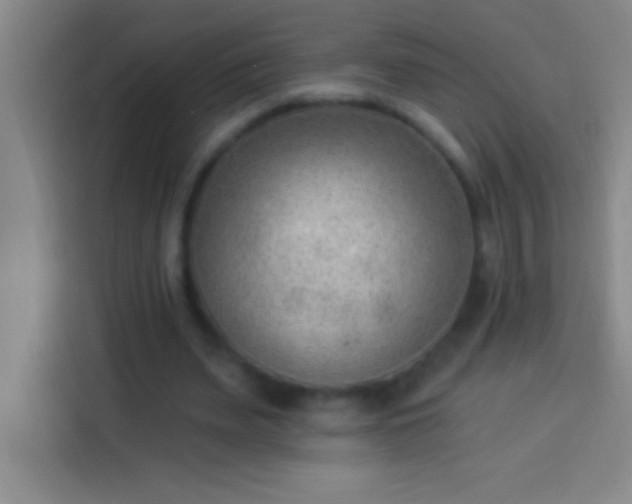 X0000113900487200910011346