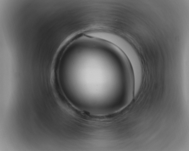 X0000113900488200910011346