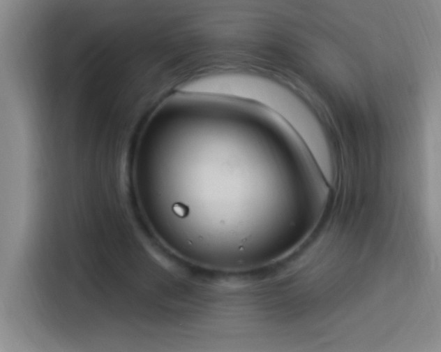 X0000113900489200910011346