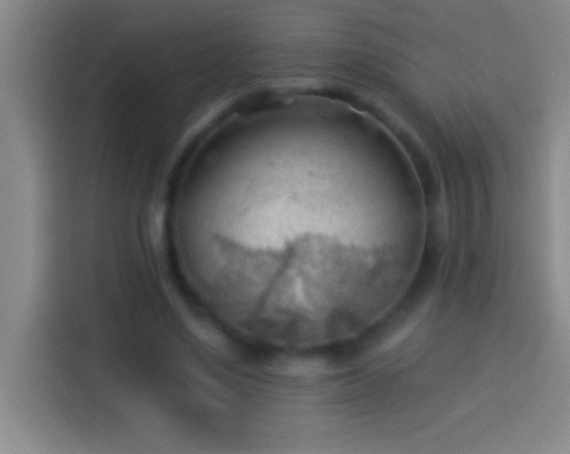 X0000113900491200910011345