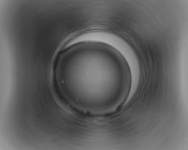 X0000113900492200910011345