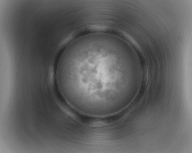 X0000113900494200910011345