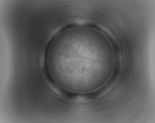 X0000113900496200910011345