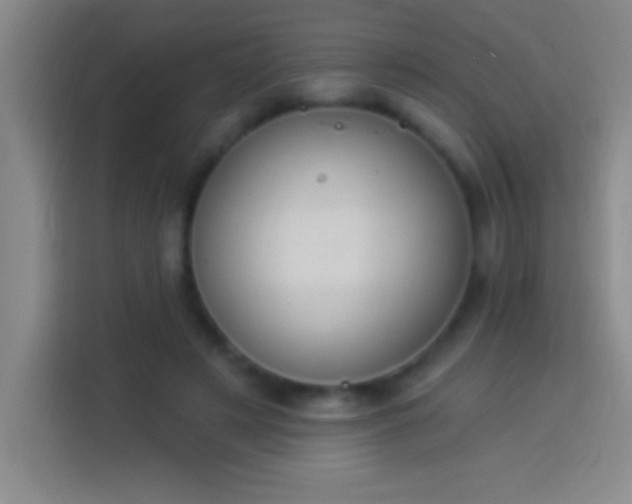 X0000113900497200910011345