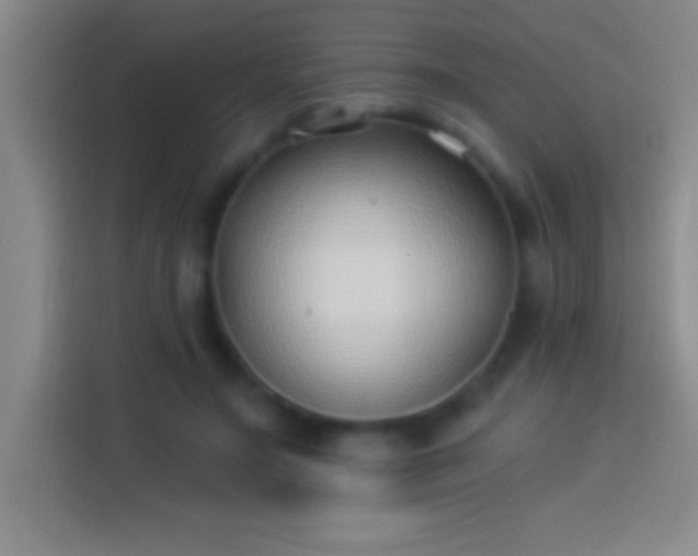 X0000113900499200910011345