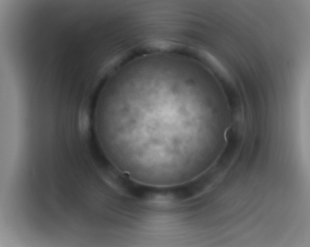 X0000113900500200910011345