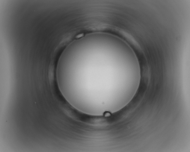 X0000113900501200910011345