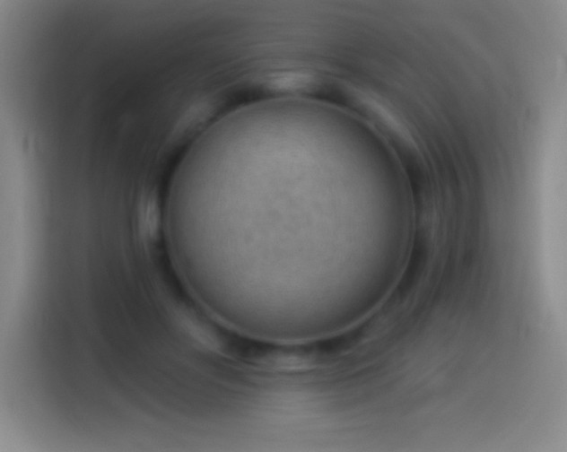 X0000113900502200910011345