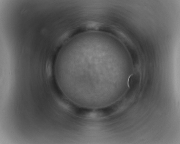 X0000113900504200910011345