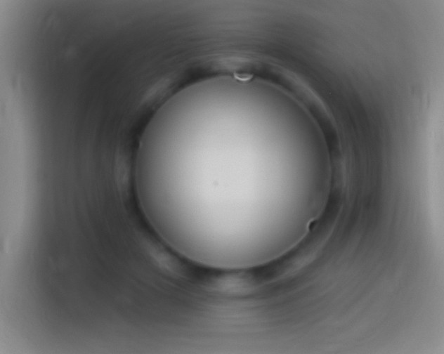 X0000113900505200910011345