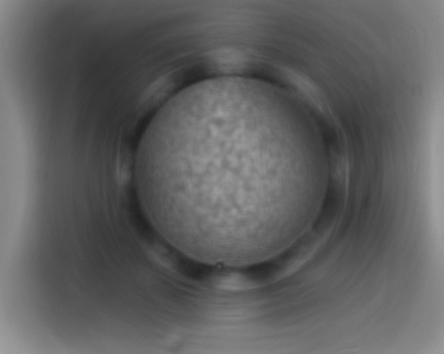 X0000113900507200910011345