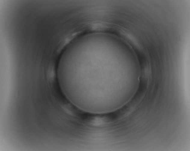 X0000113900508200910011345