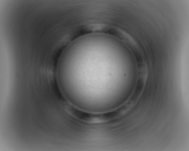 X0000113900510200910011345