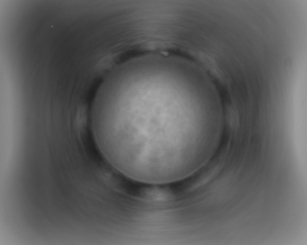 X0000113900511200910011345