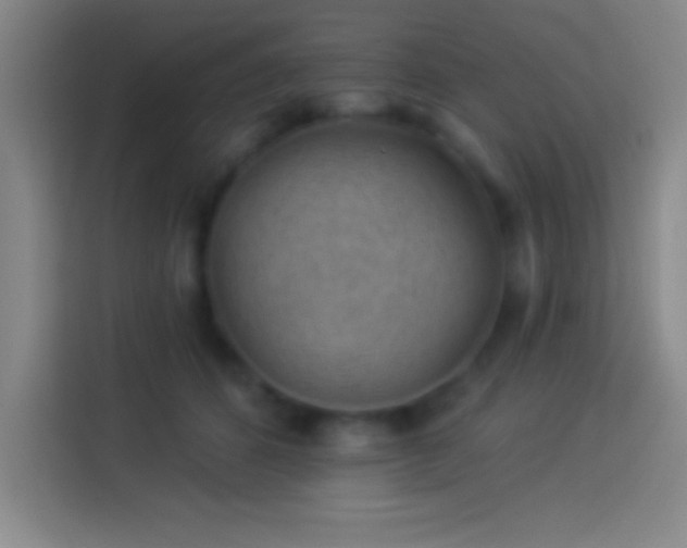 X0000113900512200910011345