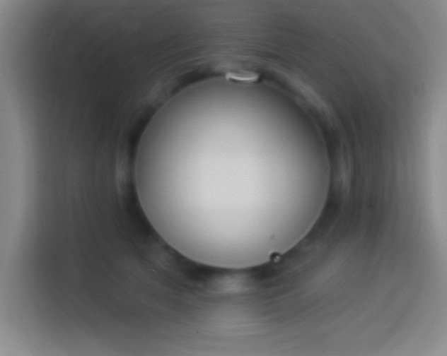 X0000113900513200910011345