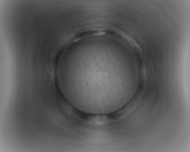 X0000113900517200910011345