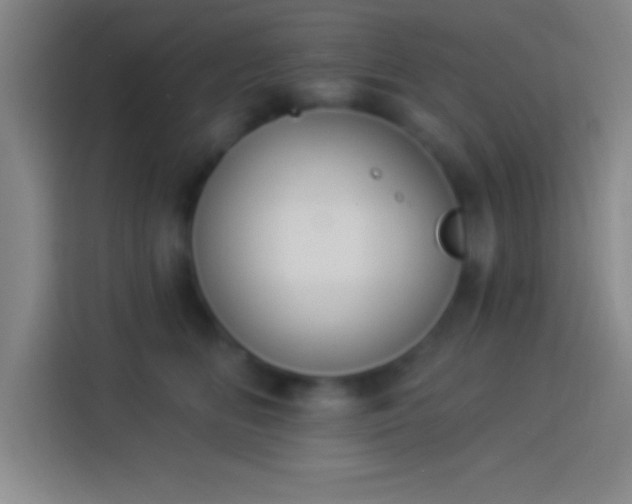 X0000113900518200910011345