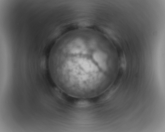 X0000113900519200910011345